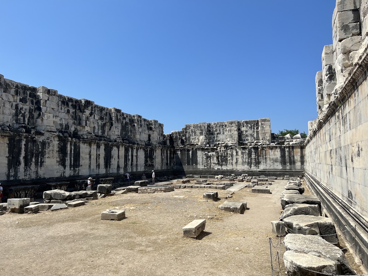 Apollon Tapınağı Çevresi ve Doğa Kampı Didim - Fotoğraf 3