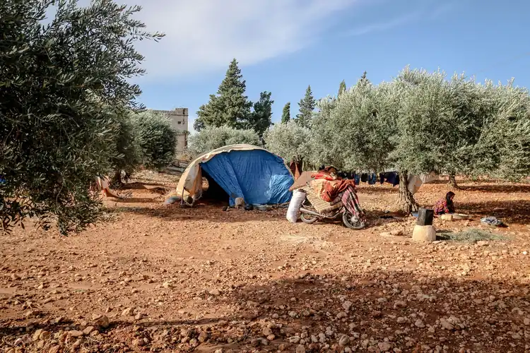 Weathered blue camping tent located on ground with aged motorbike near green trees in suburb area of…