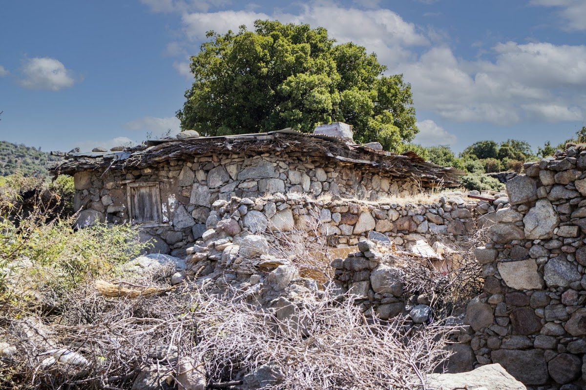 Bademli Köyü - Fotoğraf 3