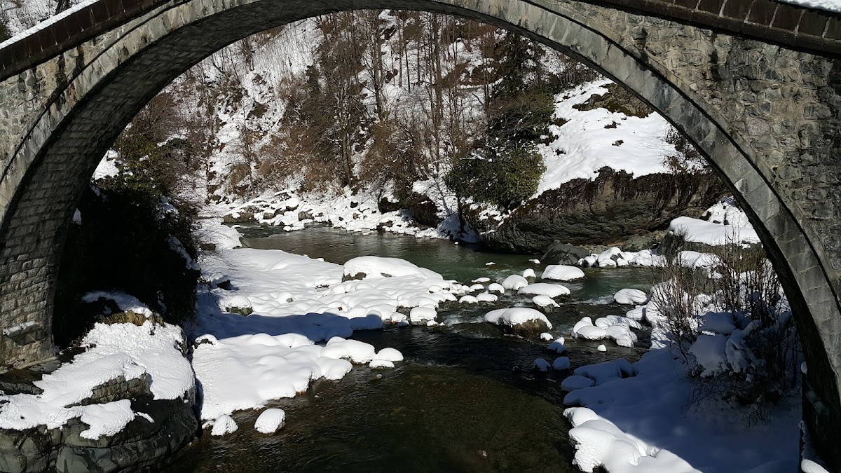 Tarihi Ortacalar Çifte Köprü Arhavi - Fotoğraf 3