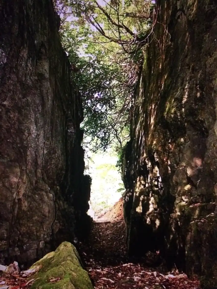 Mençuna Şelalesi Kamilet Vadisi Arhavi - Fotoğraf 4