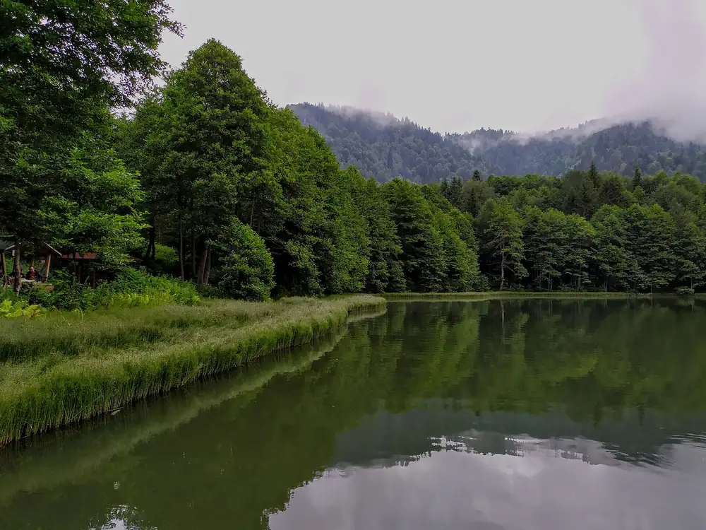 Borçka Karagöl Tabiat Parkı