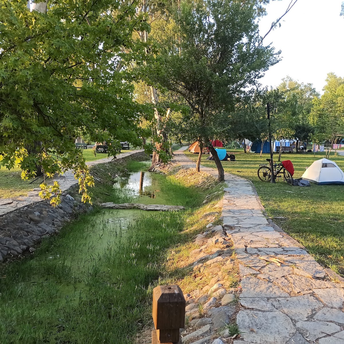 Köyceğiz Gölü Kordonu ve Kamping Alanı Muğla - Fotoğraf 2
