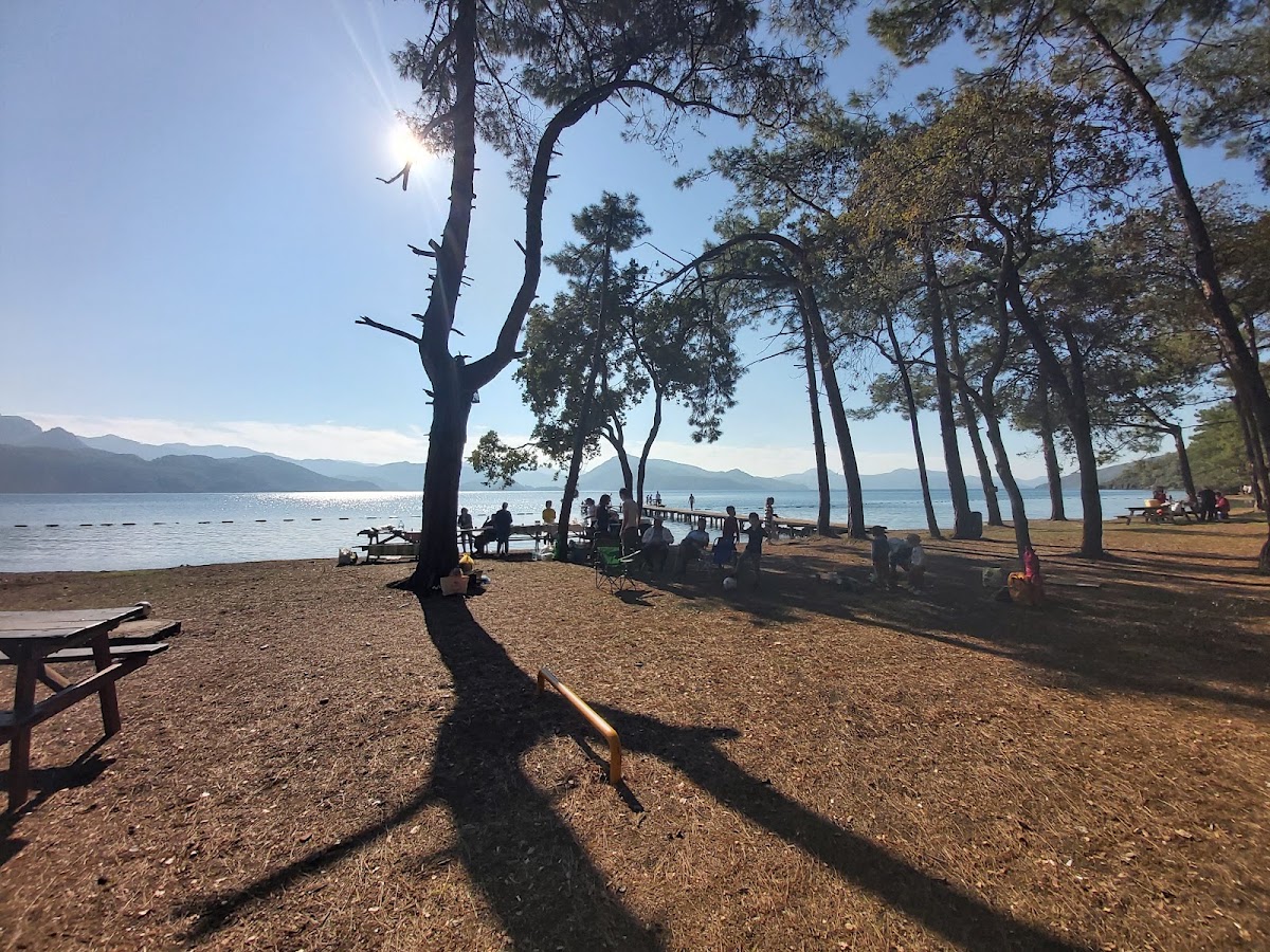 Çubucak Tabiat Parkı ve Orman Kampı Marmaris - Fotoğraf 3