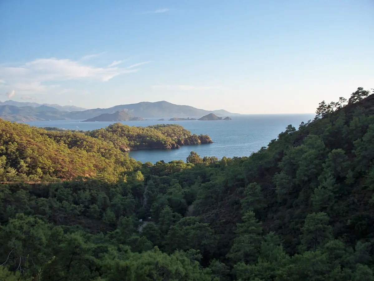 Günlüklü Koyu ve Sığla Ormanı Fethiye