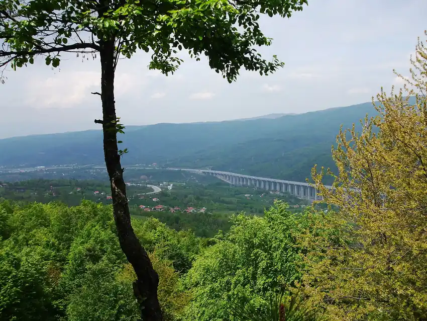 Bolu Dağı Orman İçi Yürüyüş Parkuru