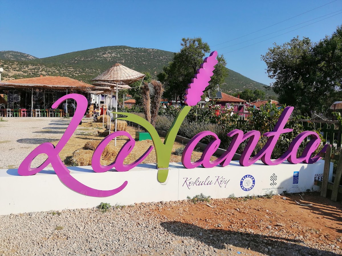 Kuyucak Lavanta Köyü Keçiborlu Isparta - Fotoğraf 3