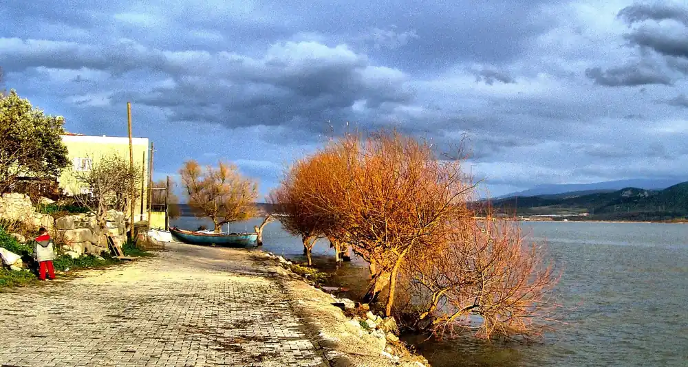 Gölyazı Köy Meydanı ve Balık Mezatı - Fotoğraf 3