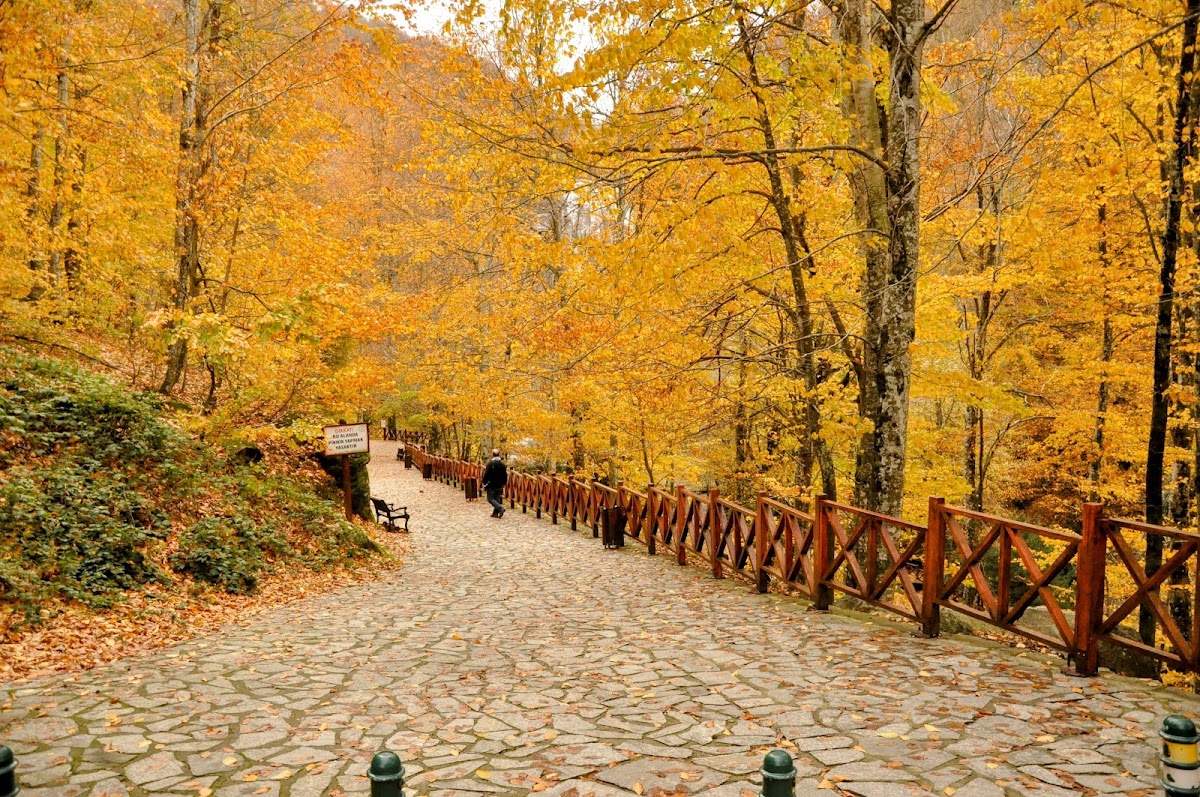Suuçtu Şelalesi Tabiat Parkı Mustafakemalpaşa - Fotoğraf 2