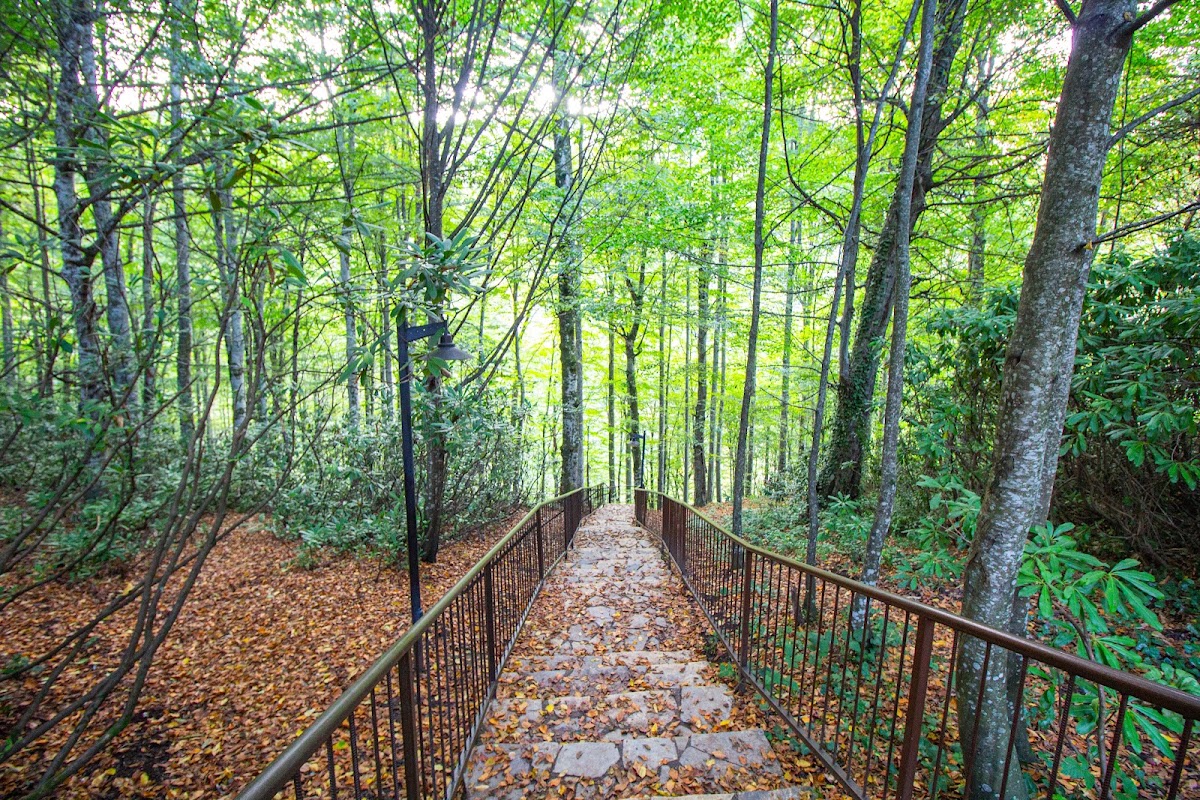 Güzeldere Şelalesi Tabiat Parkı - Fotoğraf 2