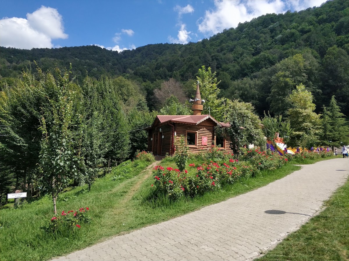 Güzeldere Şelalesi Tabiat Parkı - Fotoğraf 3