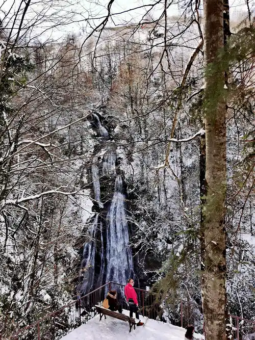 Güzeldere Şelalesi Tabiat Parkı - Fotoğraf 4