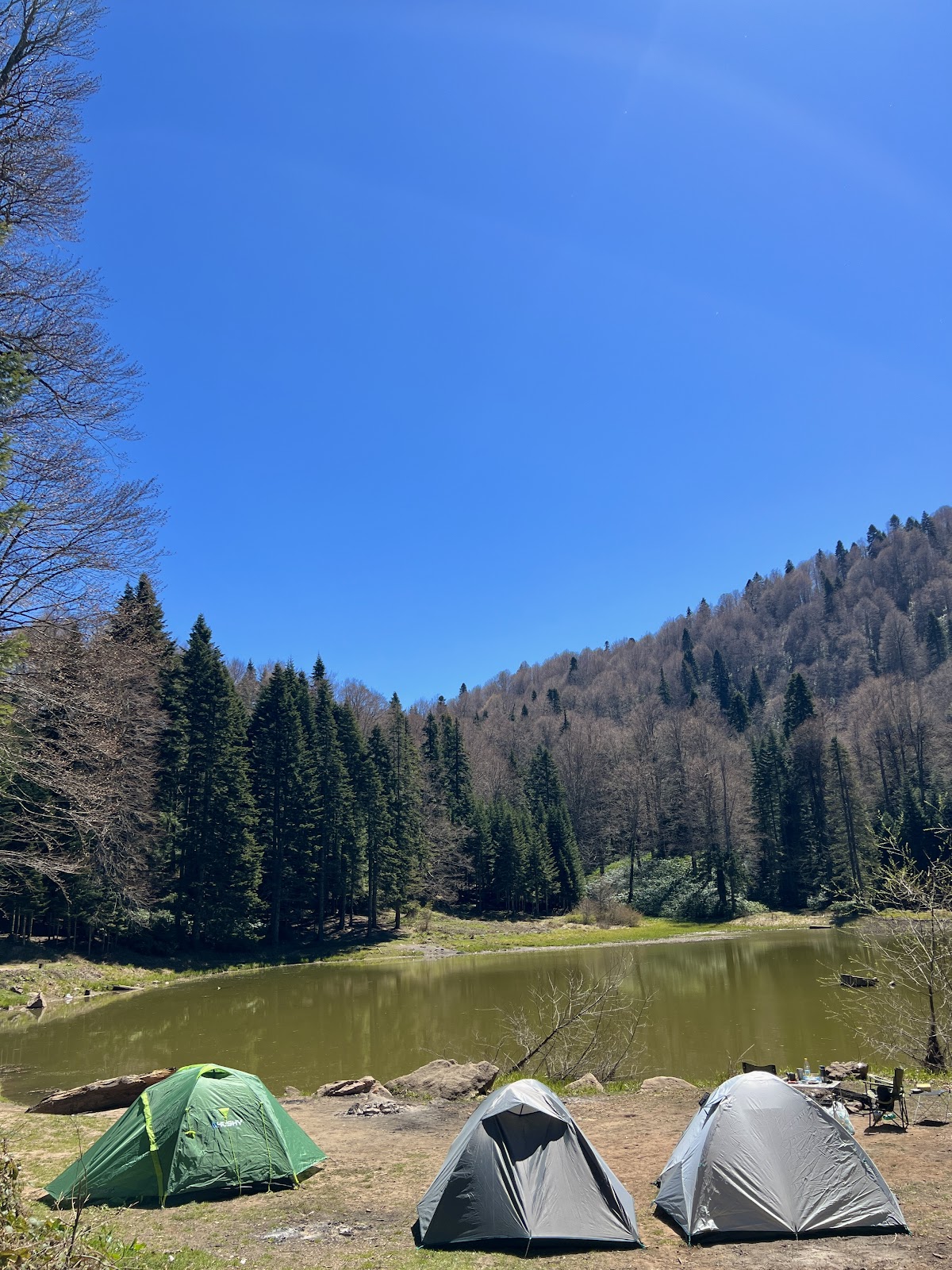 Torkul Göleti - Fotoğraf 1
