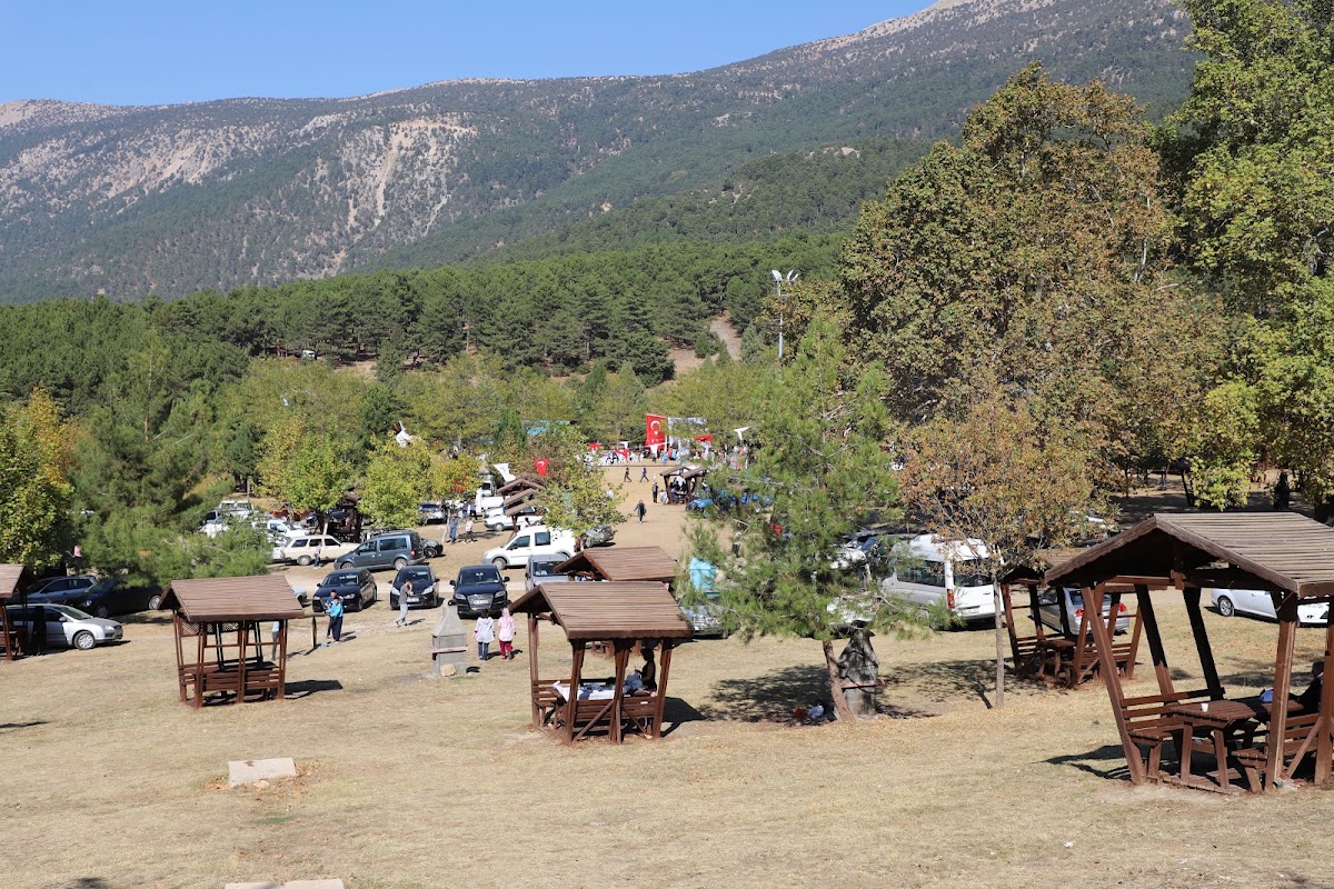 Honaz Dağı Erikli Yaylası Kamp Alanı - Fotoğraf 1