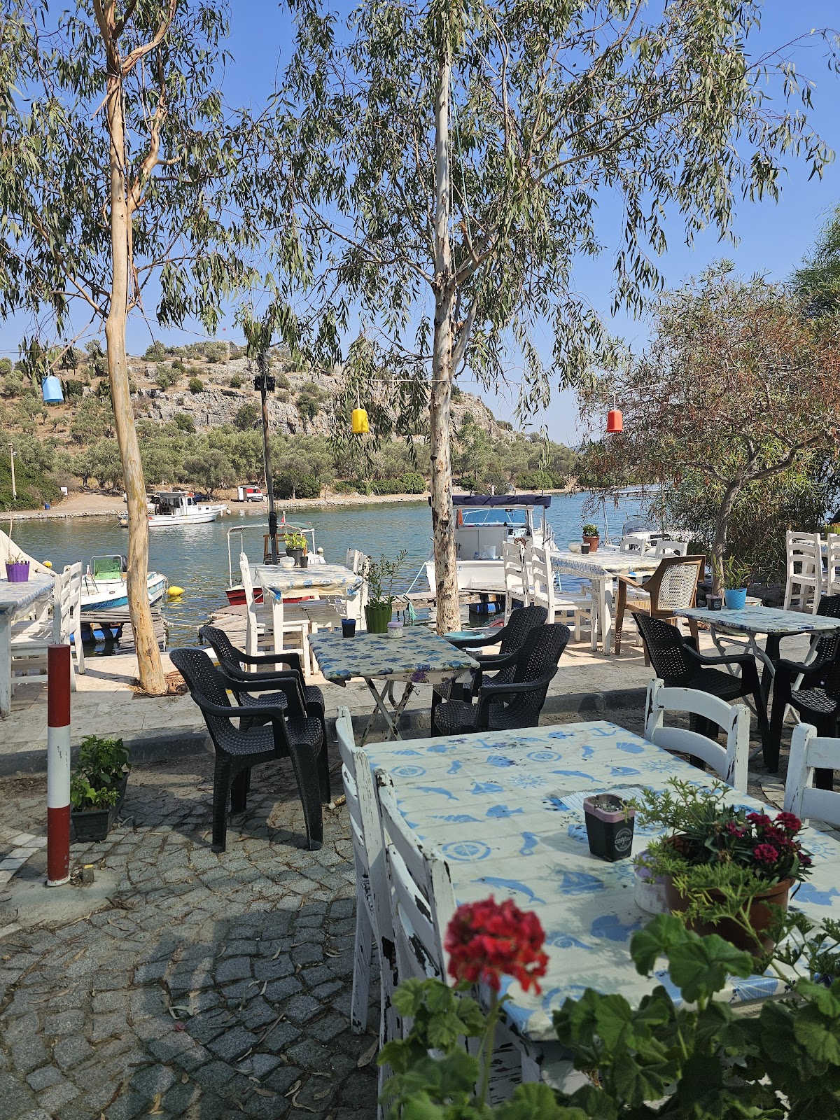Kıyıkışlacık Köy Merkezi & İasos Antik Kenti (Ceyar Restoran) - Fotoğraf 1