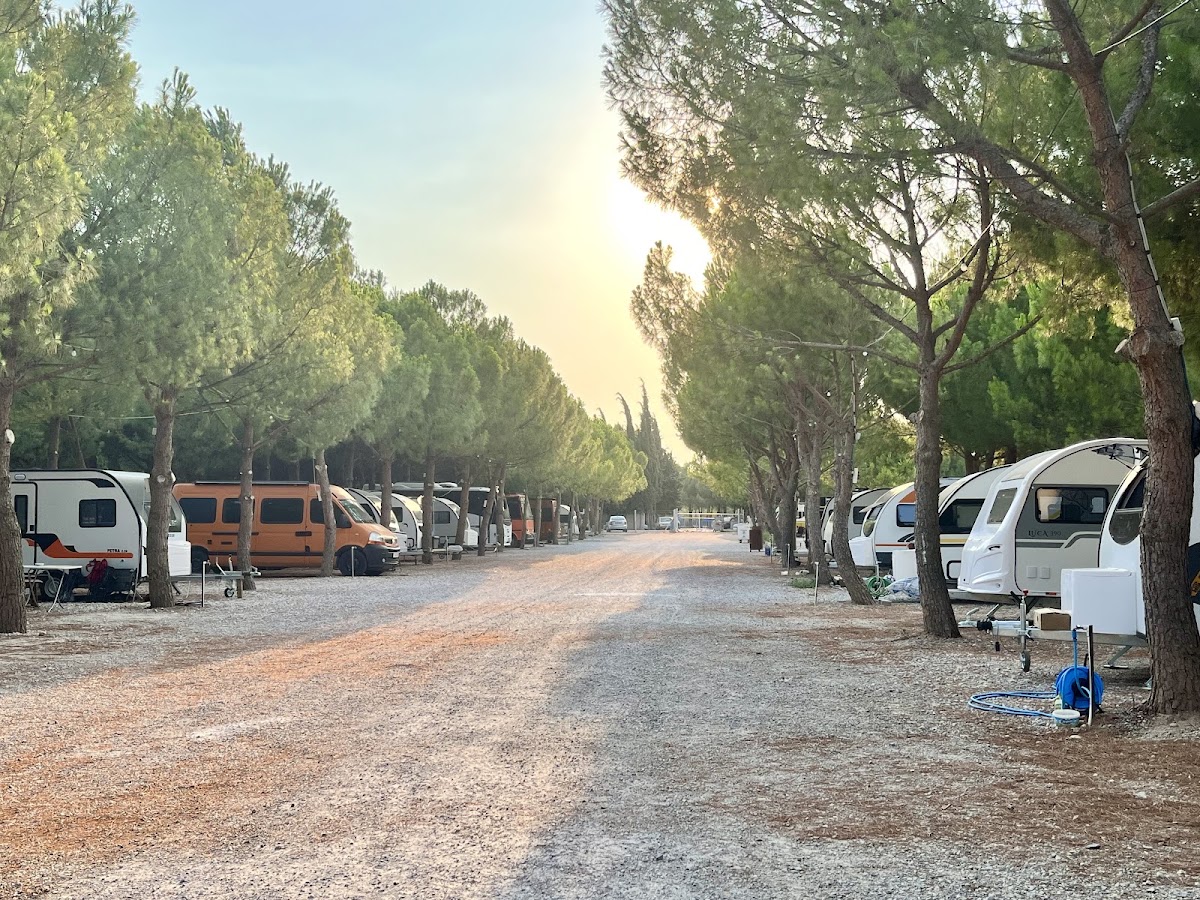 Akhisar Belediyesi Karavan Park Alanı Manisa - Fotoğraf 2