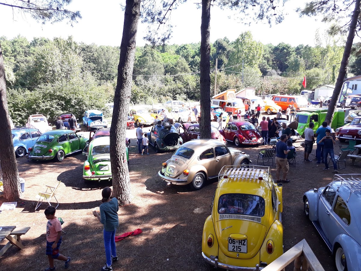 Poyrazköy Orman İçi Piknik Alanları - Fotoğraf 2
