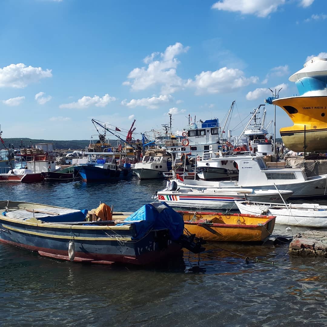 Poyrazköy Sahili ve Balıkçı Limanı - Fotoğraf 2