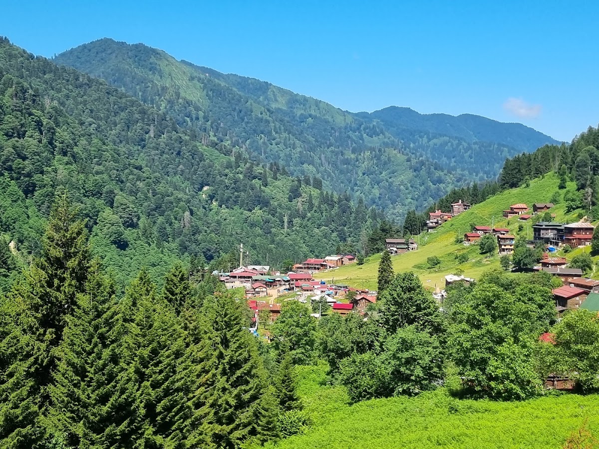 Ayder Yaylası Lojistik ve Başlangıç Noktası Rize - Fotoğraf 3