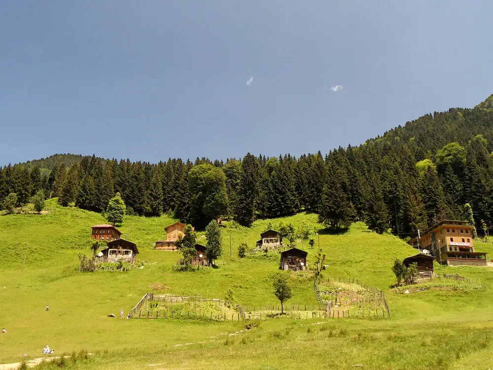 Ayder Yaylası Lojistik ve Başlangıç Noktası Rize - Fotoğraf 4