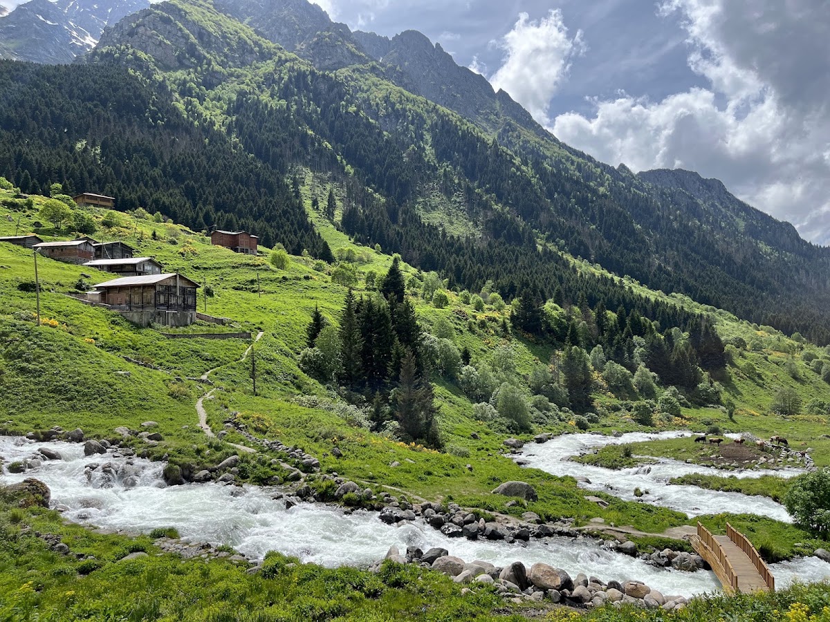 Elevit Yaylası Çamlıhemşin Rize - Fotoğraf 1