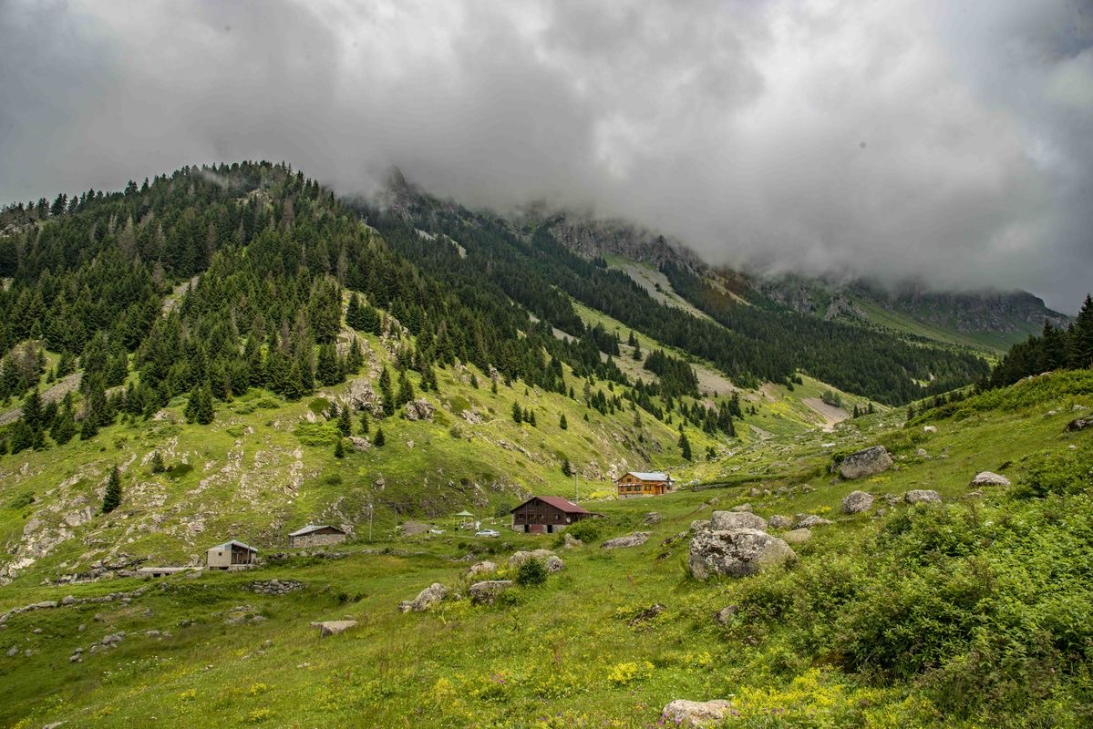 Elevit Yaylası Çamlıhemşin Rize - Fotoğraf 3