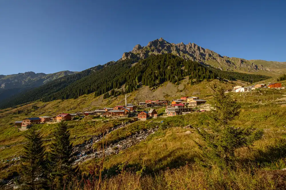 Elevit Yaylası Çamlıhemşin Rize - Fotoğraf 4