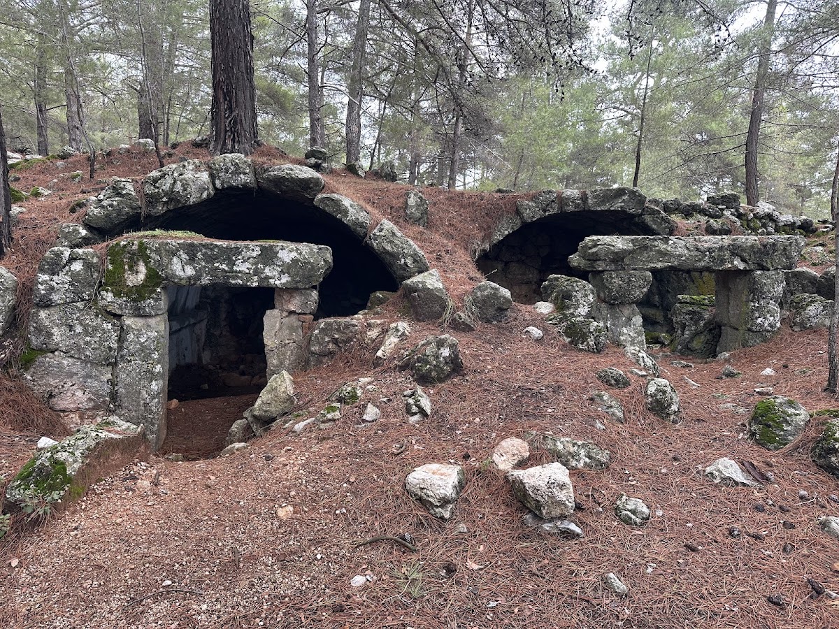 Kadyanda Antik Kenti (Geyran Dağı) - Fotoğraf 2