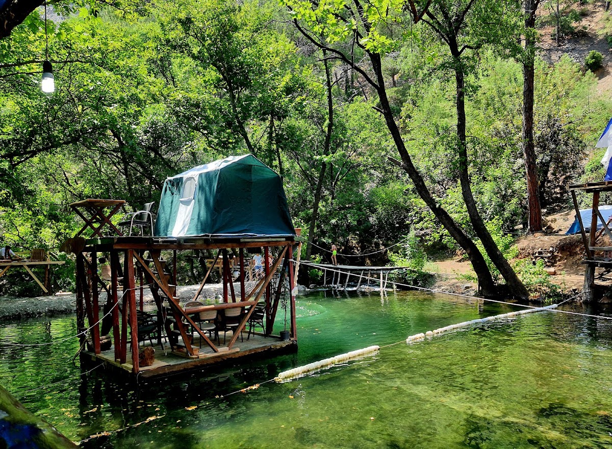Yeşil Üzümlü Orman Kamp Alanı - Fotoğraf 1