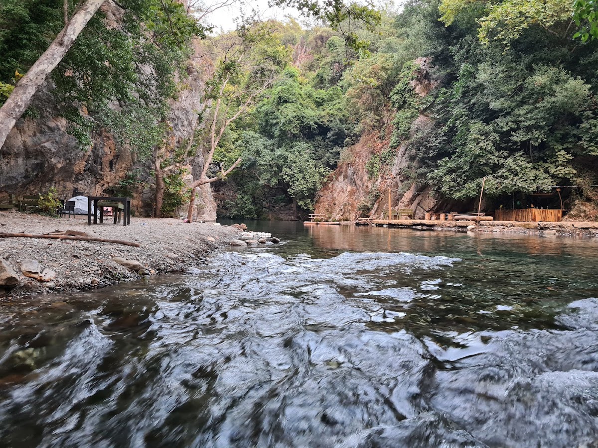 Yeşil Üzümlü Orman Kamp Alanı - Fotoğraf 2