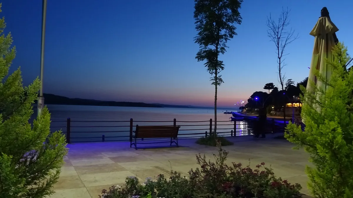 Kocaeli Kandıra ve Kerpe Çam Ormanı Yolları Keşfi