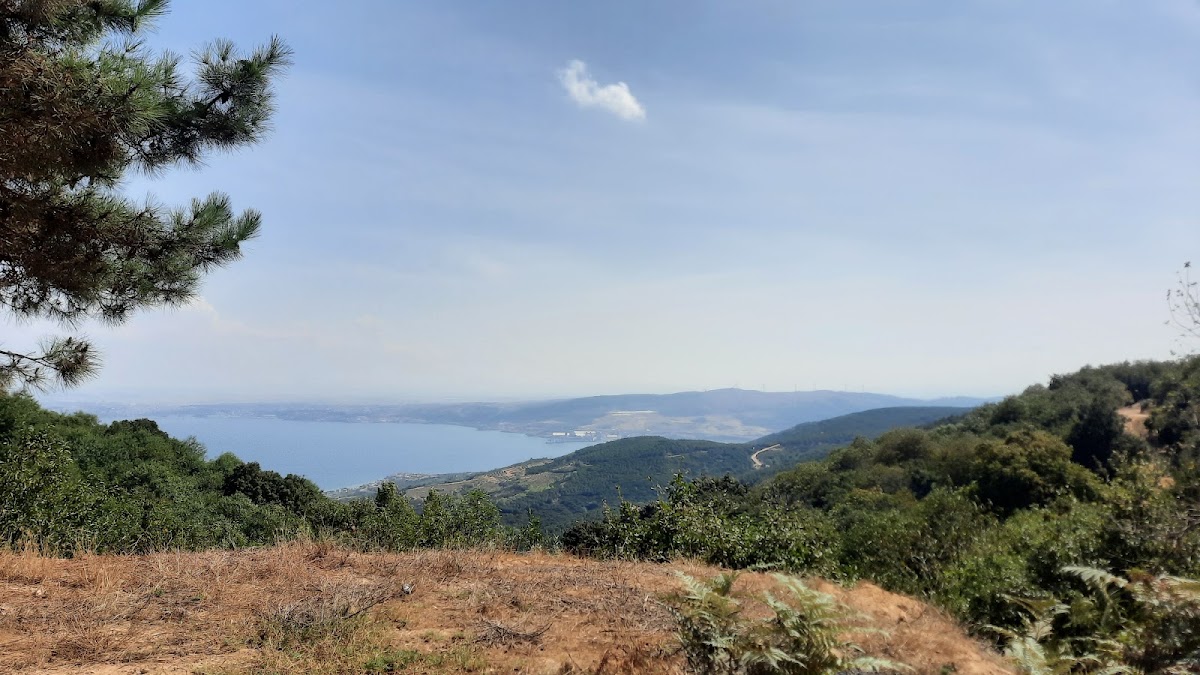 Kapıdağ Orman Kamp Alanı (Yukarı Yapıcı Göleti & Bandırma Sırtı) - Fotoğraf 2