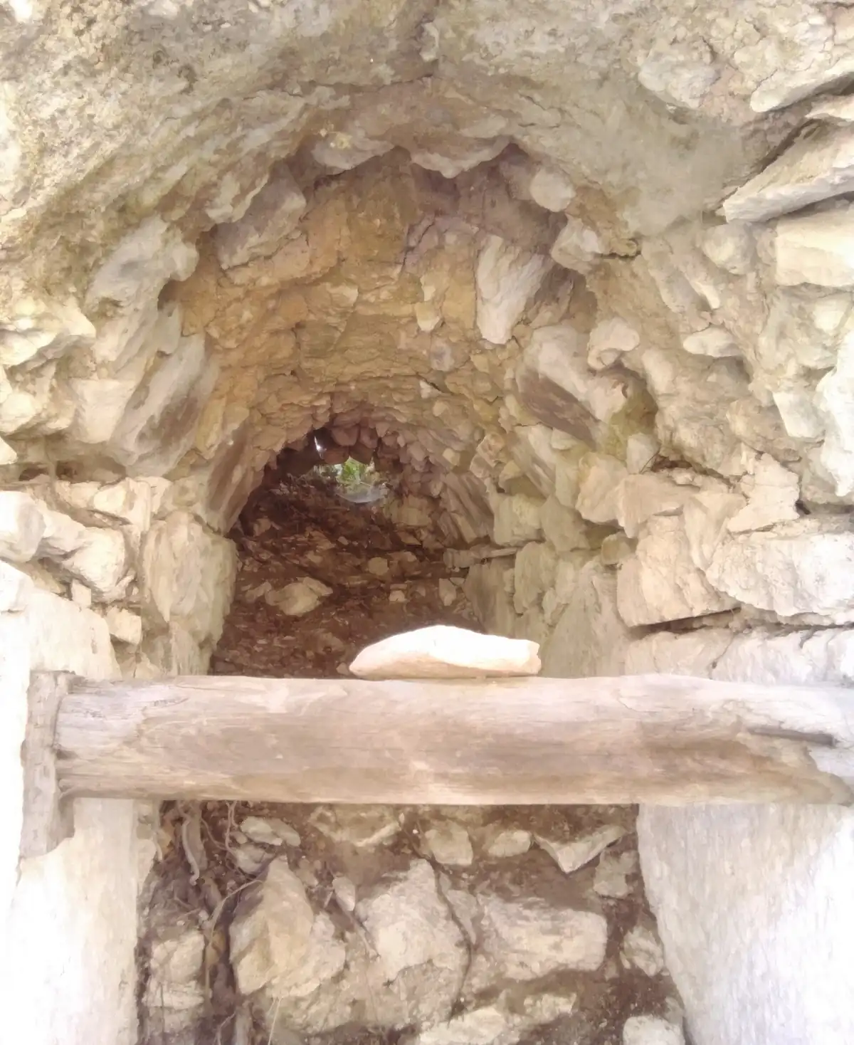 Kapıdağ Orman Kamp Alanı (Yukarı Yapıcı Göleti & Bandırma Sırtı) - Fotoğraf 3