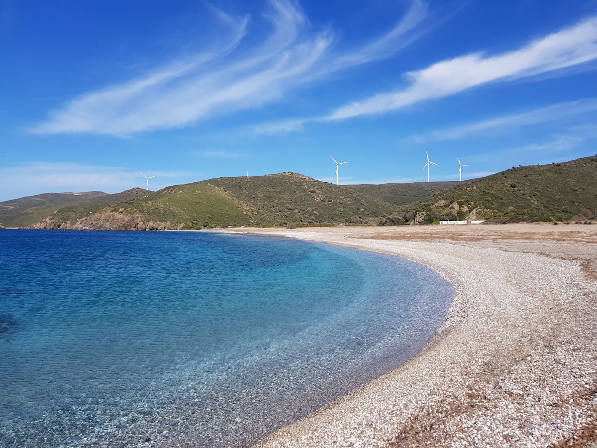 Badembükü Koyu Karaburun - Fotoğraf 1