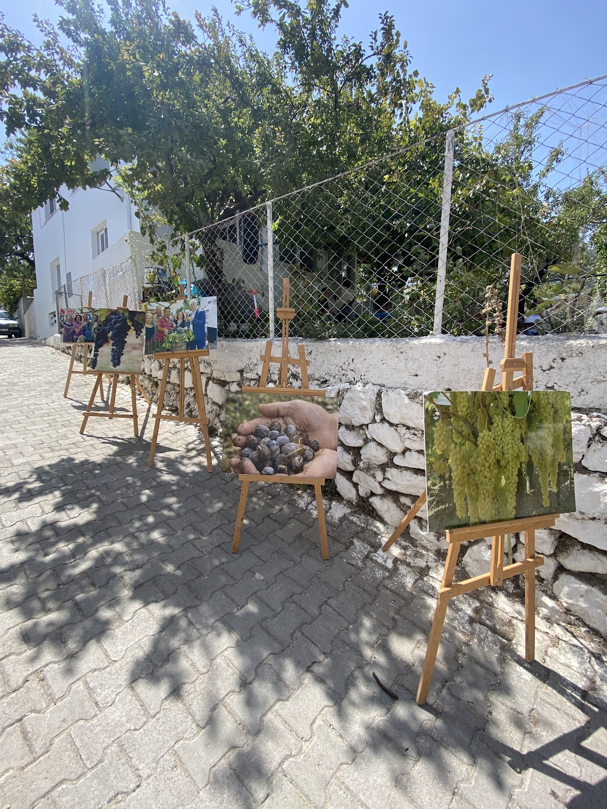 Kösedere Köyü - Fotoğraf 1