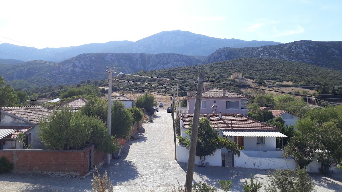 Kösedere Köyü - Fotoğraf 2