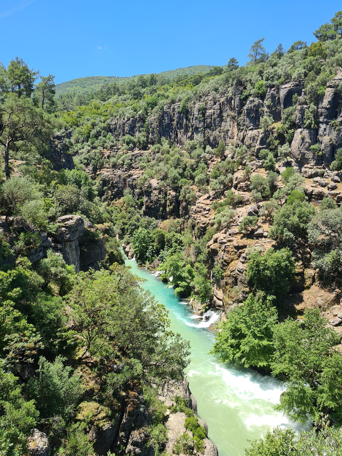 Tazı Kanyonu Tabanı ve Doğal Kaynak Sahili - Fotoğraf 1