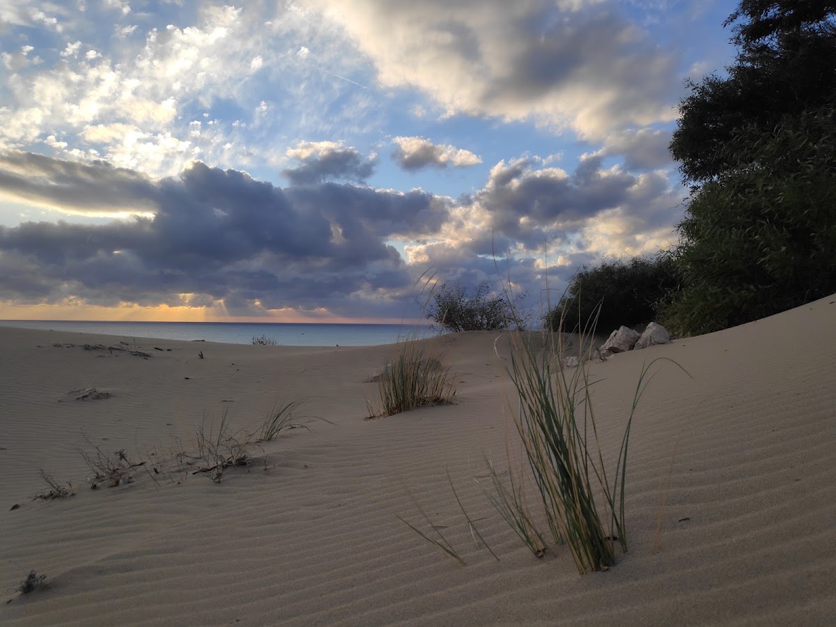 Patara Plajı ve Kum Tepeleri - Fotoğraf 1
