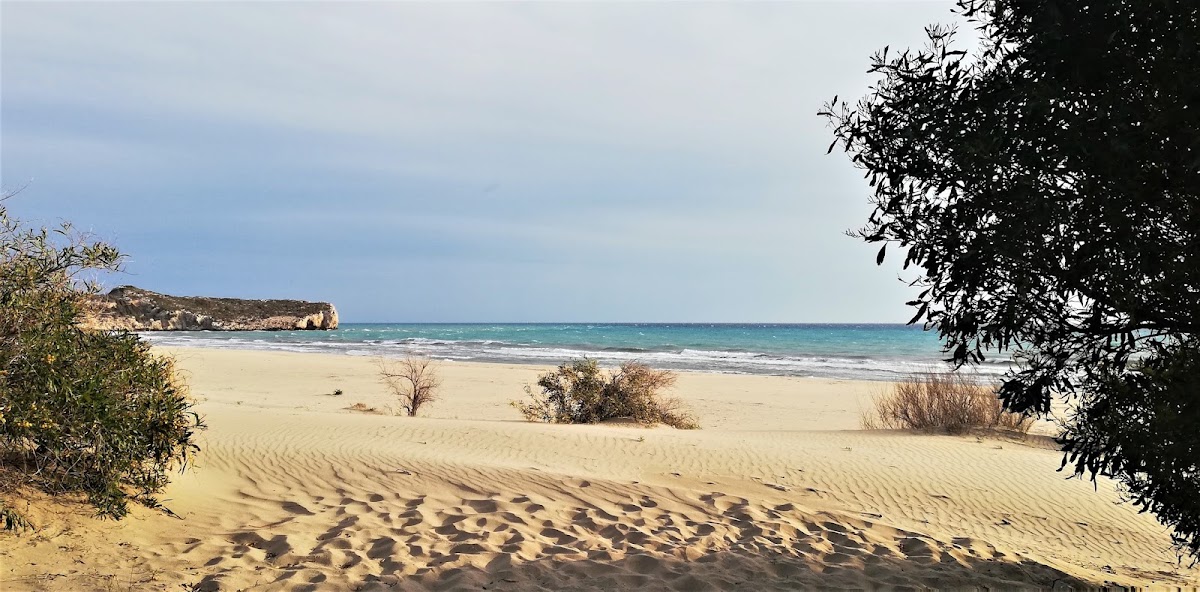 Patara Plajı ve Kum Tepeleri - Fotoğraf 2