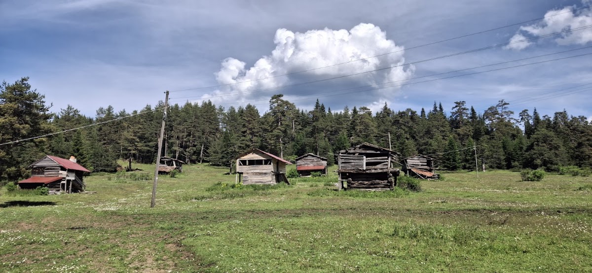 Kastamonu Araç Yaylaları Kampı