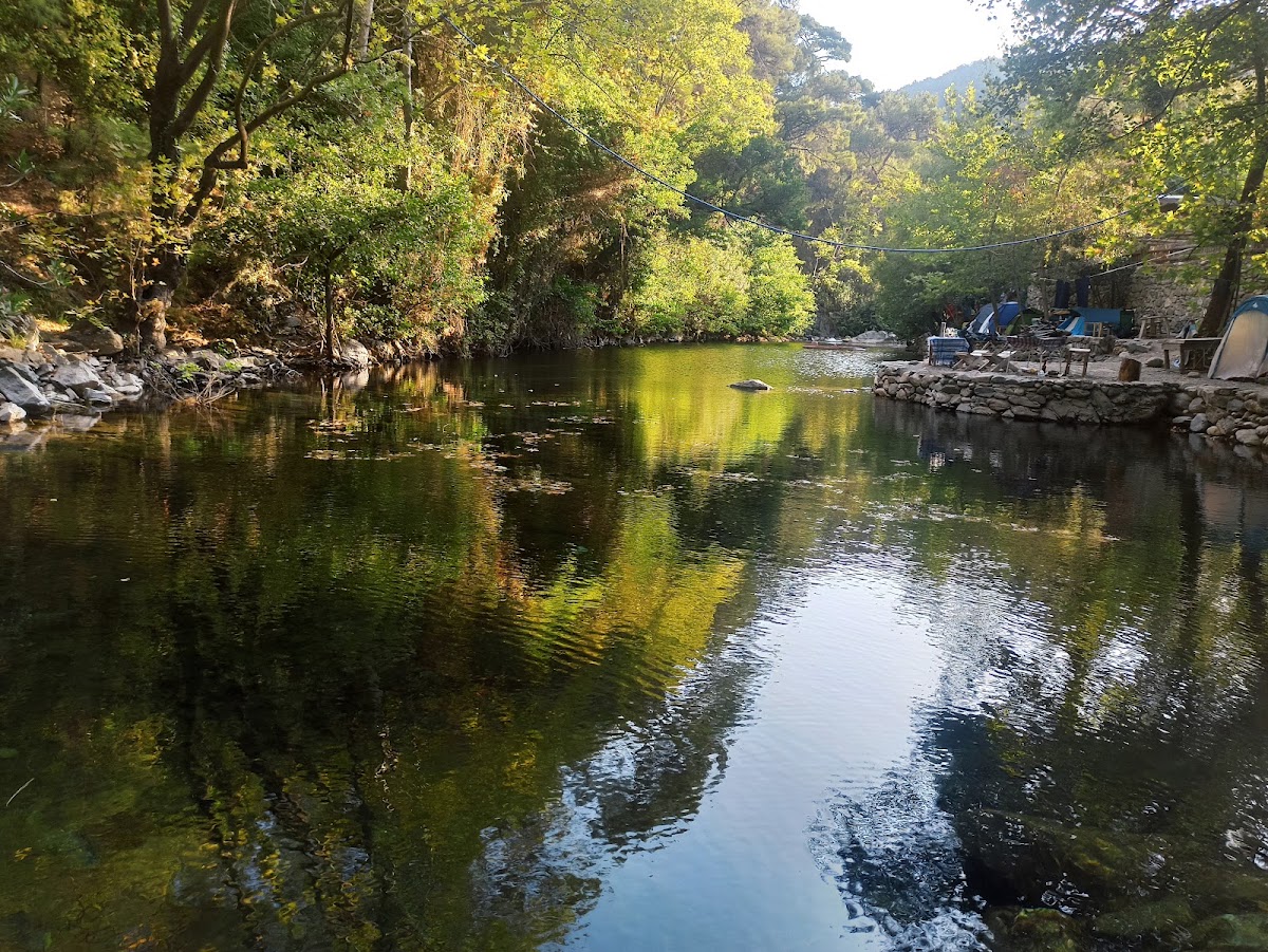 Akaleos Kamp Alanı (Zeytinli Deresi) - Fotoğraf 2