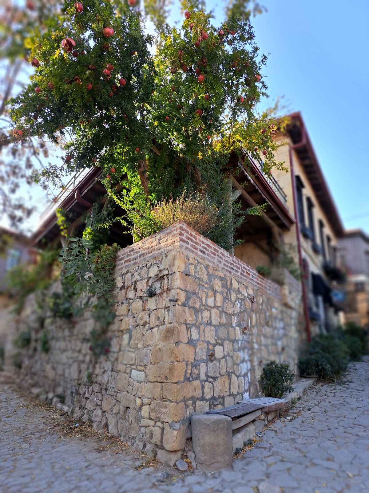 Yeşilyurt Köyü - Fotoğraf 3