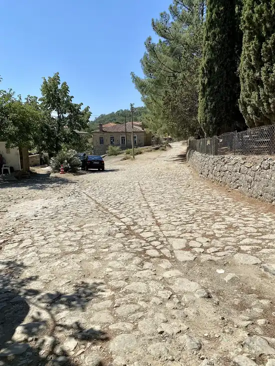 Adatepe Köyü ve Zeus Altarı - Fotoğraf 4