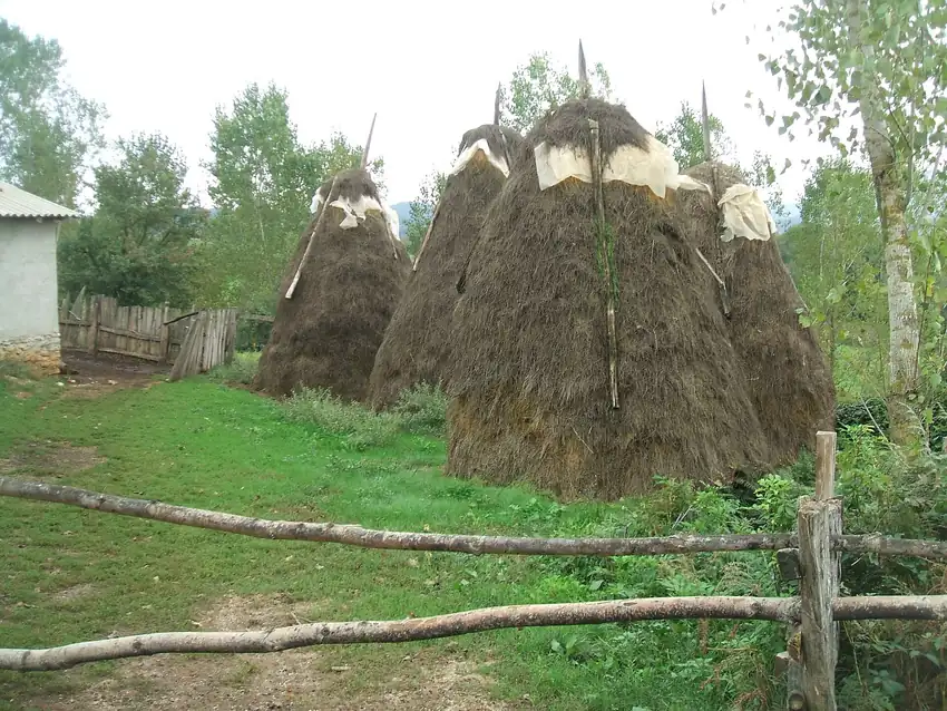 Sarpdere Köyü