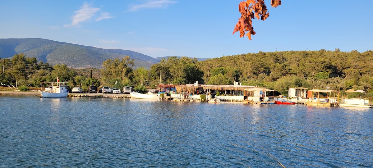 Kazıklı Köyü (Milas) - Fotoğraf 2