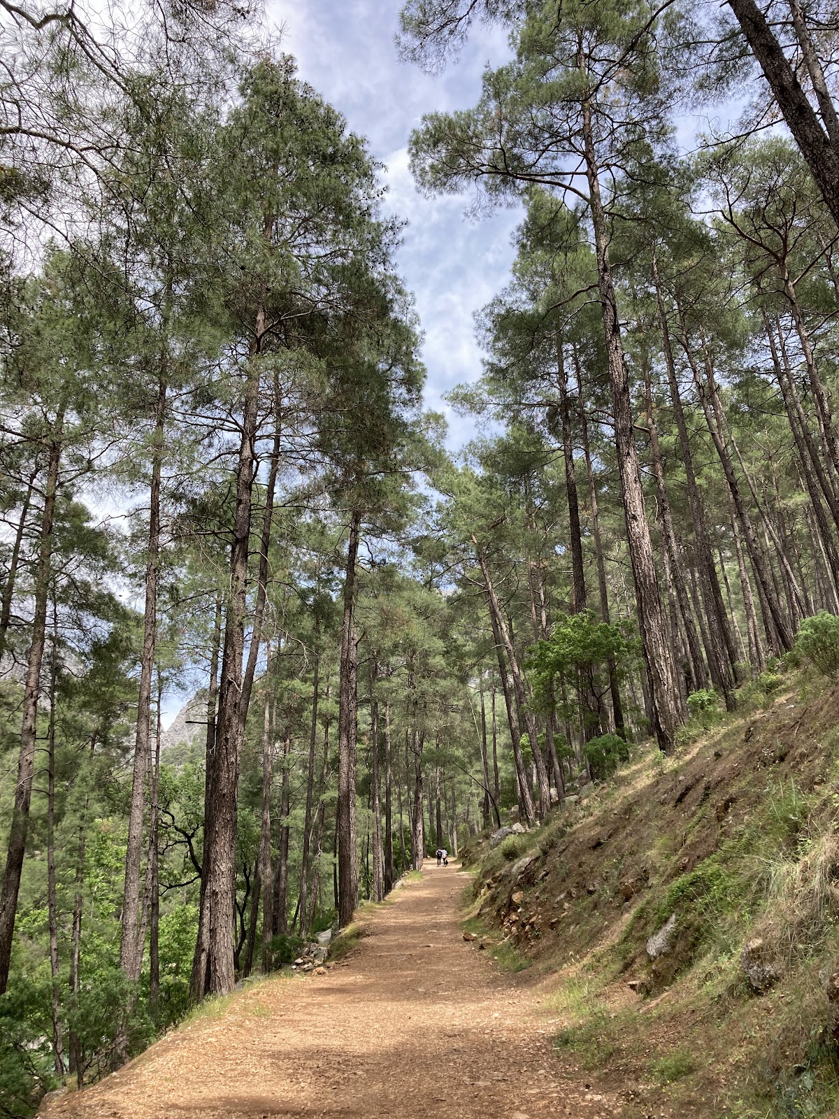 Yazılı Kanyon Tabiat Parkı - Fotoğraf 3