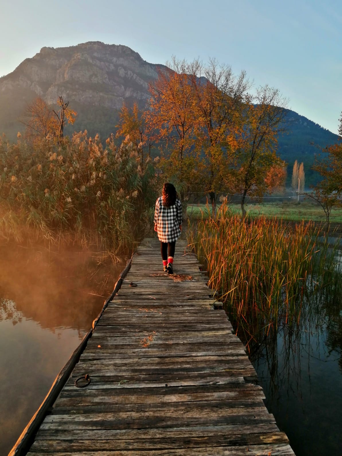 Akdeniz Camping (Köyceğiz Gölü Kenarı) - Fotoğraf 2