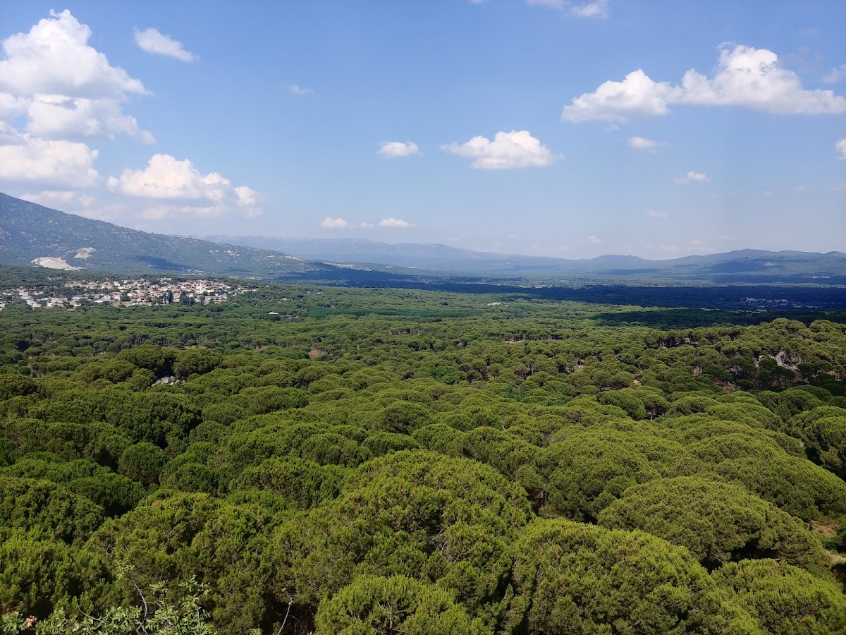 Kozak Yaylası Göbeller Köyü Orman Kampı - Fotoğraf 1