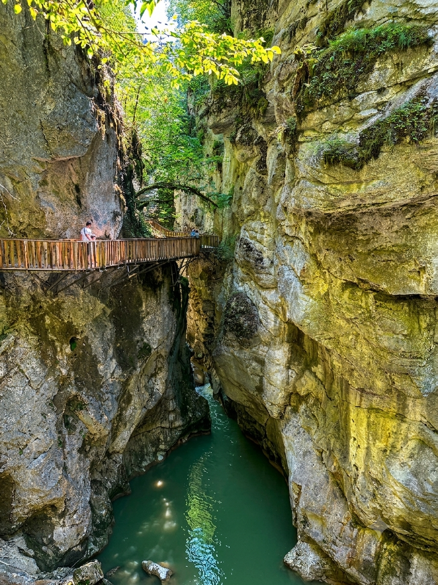 Küre Dağları Milli Parkı Pınarbaşı Kastamonu - Fotoğraf 2