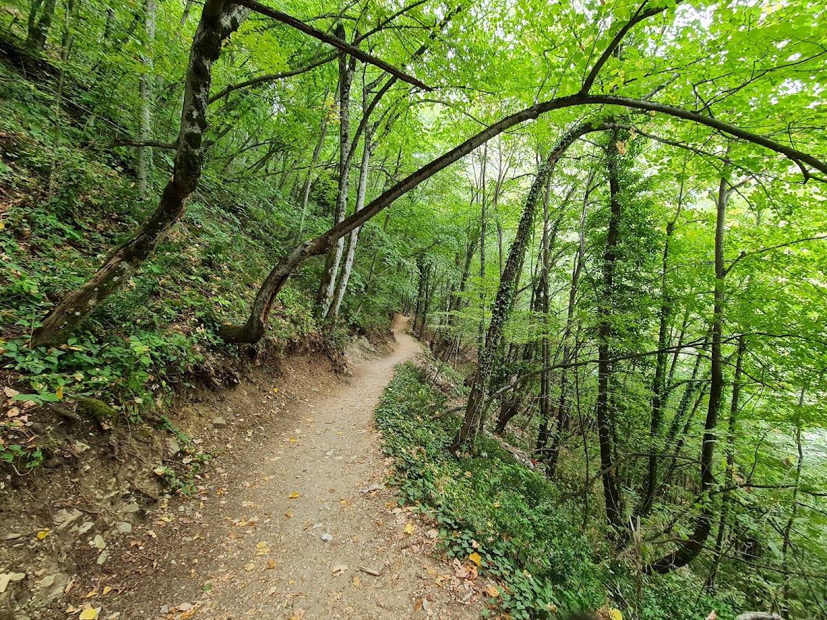 Küreklidere Şelalesi ve Vadi Mesire Alanı - Fotoğraf 3
